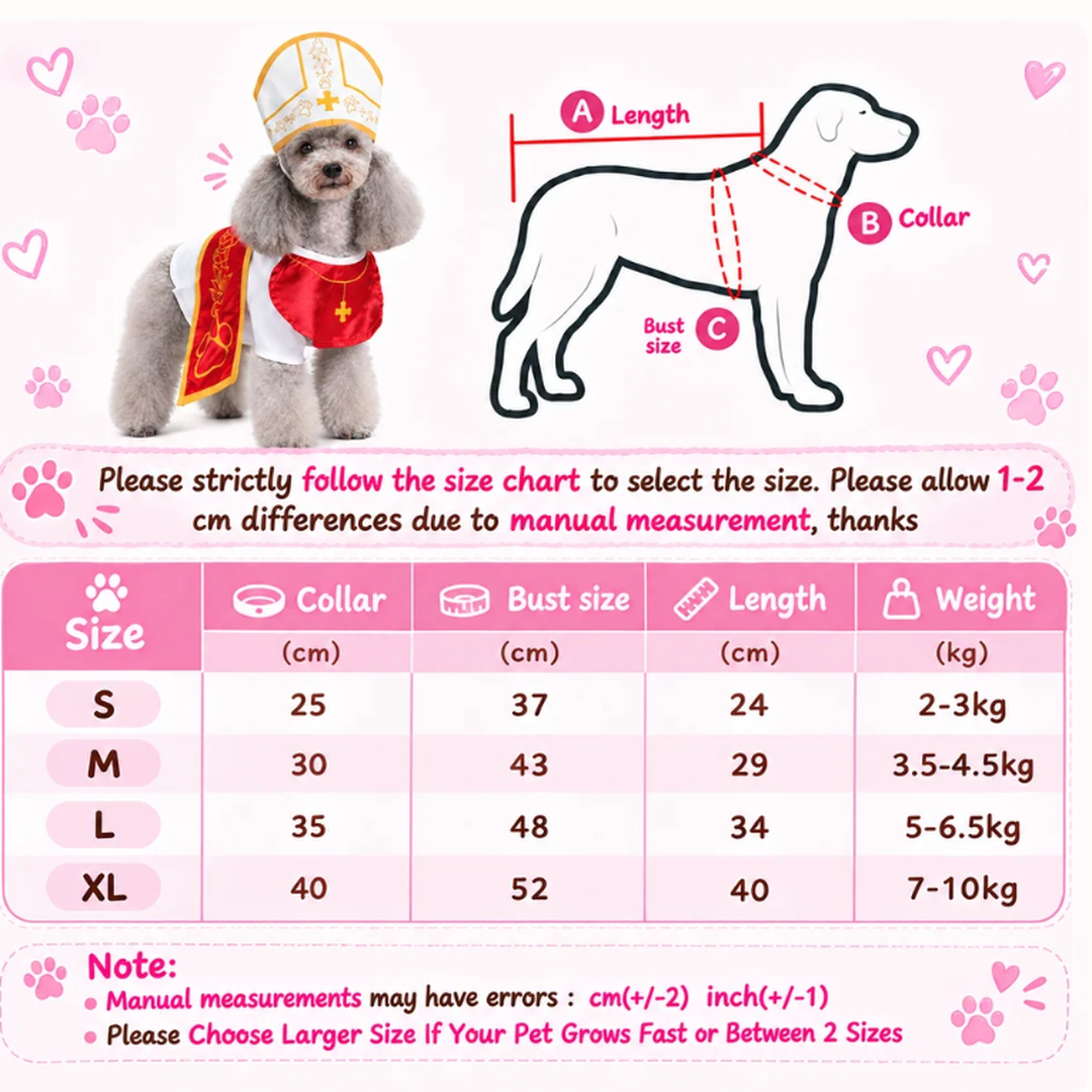 Halloween Pet Costume That Steals Every Laugh